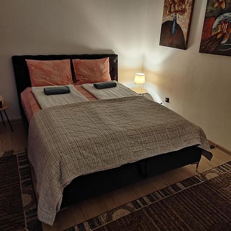 Spacious And Modern Apartment In Town Center コニツ エクステリア 写真