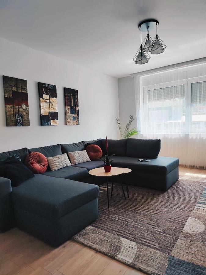 Spacious And Modern Apartment In Town Center コニツ エクステリア 写真