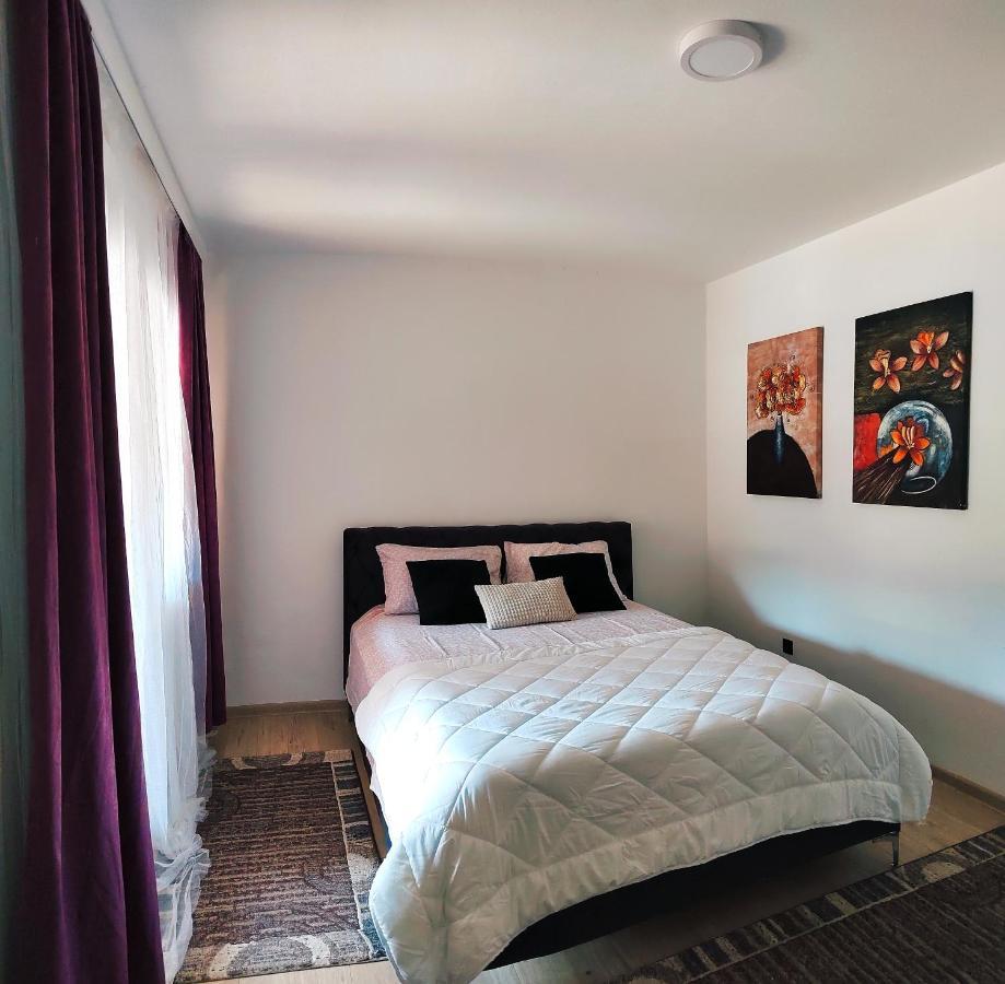 Spacious And Modern Apartment In Town Center コニツ エクステリア 写真