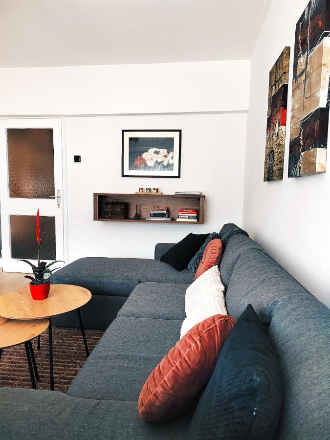 Spacious And Modern Apartment In Town Center コニツ エクステリア 写真