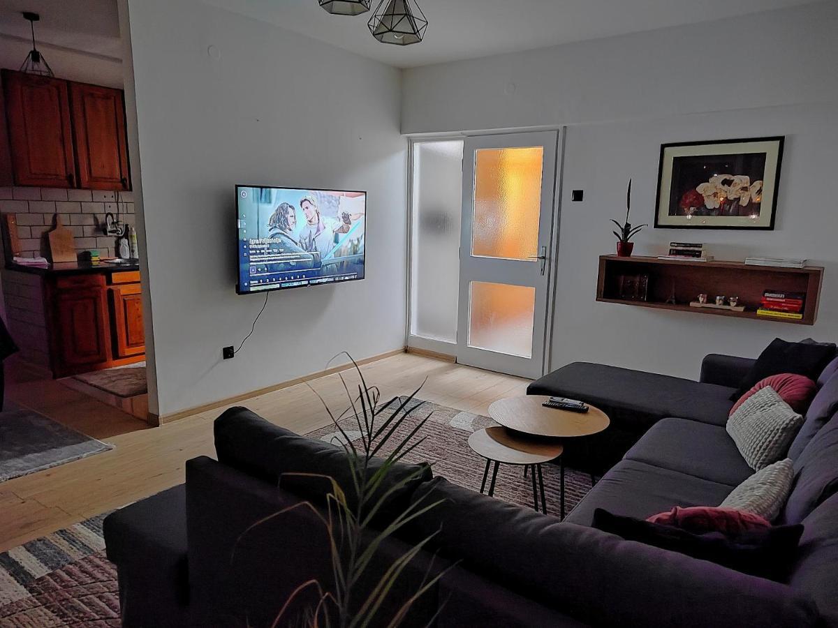 Spacious And Modern Apartment In Town Center コニツ エクステリア 写真