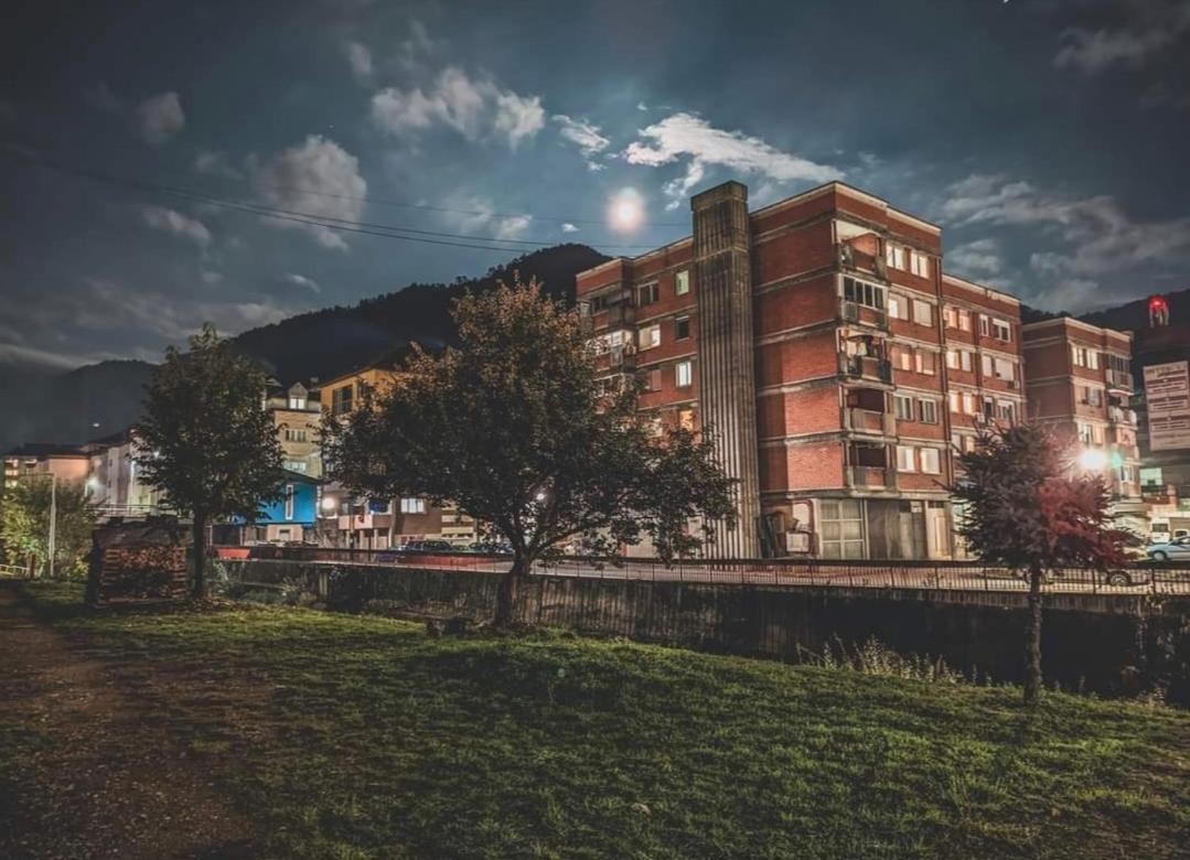 Spacious And Modern Apartment In Town Center コニツ エクステリア 写真