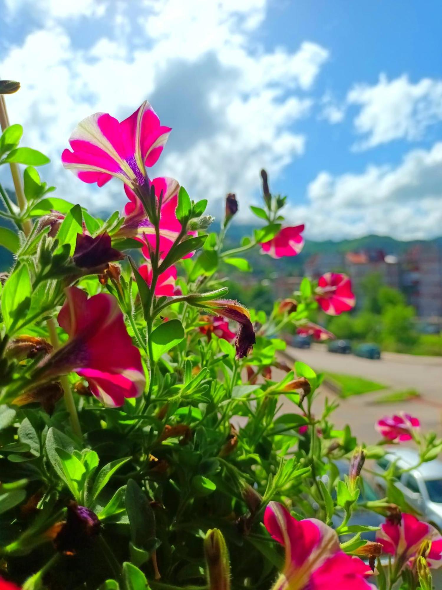Spacious And Modern Apartment In Town Center コニツ エクステリア 写真